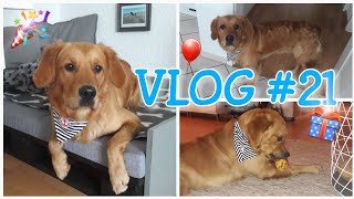 VLOG 21  Aikos Bday und Geschenke testen [upl. by Anerual]