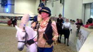 Equifest Concours DElegance [upl. by Dnomar]