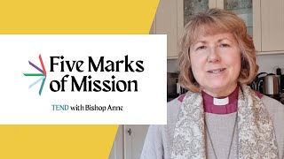 With Bishop Anne  Five Marks of Mission  Tend [upl. by Waki598]