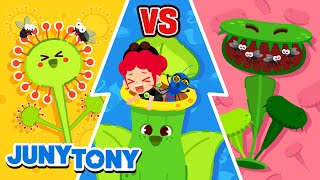 Game On InsectEating Plants  VS Series  Insect Songs for Kids  Animal Song  JunyTony [upl. by Casey243]