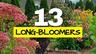 These are the Longest Blooming Perennials in my Garden I Tracked Them All Year [upl. by Eldwen]