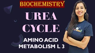 Urea Cycle I Ornithine cycle I Amino Acid Metabolism Lecture 3 I Biochemistry I Unit 1 [upl. by Robyn]