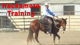 Horse Training with a Hackamore Bosal [upl. by Normi]