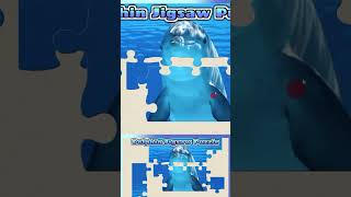 067 Dolphin Animal Jigsaw Puzzle [upl. by Marjie263]