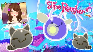 HO SCOPERTO DUE NUOVI SLIME SU SLIME RANCHER 2 🤩 [upl. by Valli607]