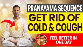 Top 4 Breathing Exercises to Reduce Cough and Cold in One Day  Pranayama Sequence [upl. by Guss]