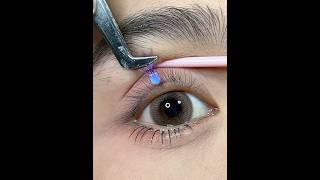 Eyelashes Makeup Tutorial Beauty Tips makeup makeuptutorial viralvideo [upl. by Eirehc]