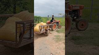 Baby Tractor shortvideo tractor funnyvideo [upl. by Durwin767]