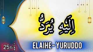 Elahe Yuruddo With Urdu Translation Beautiful Quran Qirat  PARA 2530  الیہ یرد [upl. by Araes]