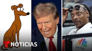 Vea los memes tras Trump decir que en Springfield migrantes se comen mascotas  Noticias Telemundo [upl. by Veda]