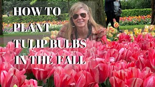 Growing Tulips in the Fall  How to Plant Tulip Bulbs  Kelly Lehman [upl. by Ttergram]