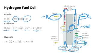 Fuel Cells  Energy from Fuels [upl. by Tterab545]