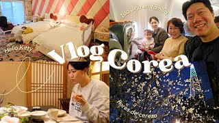 Vlog Corea  Viaje a la Isla Jeju en familia Habitación de Hello Kitty Flores de cerezo en Marzo [upl. by Soloman]