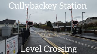 Cullybackey Station Level Crossing Ballymena Thursday March 21032023 [upl. by Hanid]