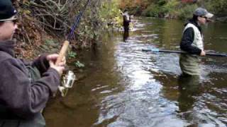 NY King Salmon amp Trout 2008 Trip [upl. by Borg828]