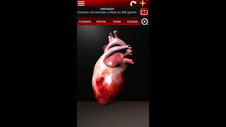 Sistema circulatorio en 3d para android Es [upl. by Notlil]