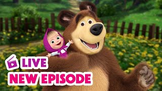 🔴 LIVE STREAM 🎬 Masha and the Bear 🆕 New Episode 🔥 [upl. by Attennyl11]