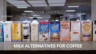 Milk Alternatives for Coffee Tested amp Compared [upl. by Arimlede601]