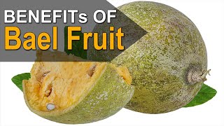 How To Keep Healthy By Eating Bael Fruit  Bael Fruit Nutrition Value [upl. by Pascal347]