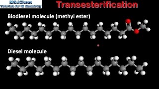 C4 Transesterification SL [upl. by Yllatan]