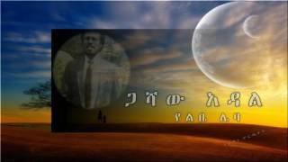 Gashaw Adalየልቤ ሌባYelibe Leba [upl. by Adamec]