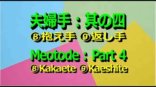 9th： Defense techniques of Shoteigihopart4 ⑧Kakaete ⑨Kaeshite掌底技法防御技其の四｢⑧抱え手 ⑨返し手｣ [upl. by West957]