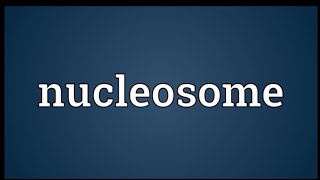 NUCLEOSOMESstructure of nucleosomesfunction of nucleosome [upl. by Minton]