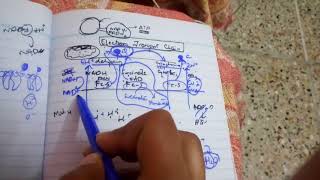 ELECTRON TRANSPORT CHAIN easiest learning part 2 [upl. by Niajneb274]