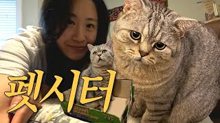 펫시터 체험기 놀이터 Ep01 [upl. by Anitsirk]