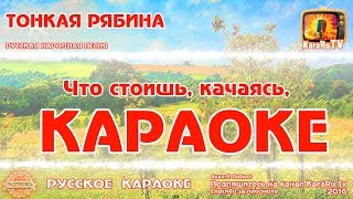 Караоке  quotТонкая рябина quot Русская Народная песня Новая [upl. by Minta]