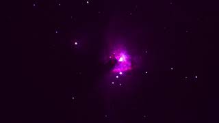 The Great Orion Nebula  Nikon P1000 single 60 second exposure [upl. by Euqinomod770]