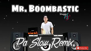 MR BOOMBASTIC PA SLOW REMIX 2022  SHAGGY BASS BOOSTED MUSIC FT DJTANGMIX EXCLUSIVE [upl. by Reltuc]