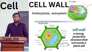 endocytosis  exocytosis cell wall plasmolysis DheerajAcademy [upl. by Yeung]