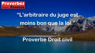 Proverbe Droit civil  Larbitraire du juge est moins bon que la loi [upl. by Courtund774]