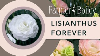 Learn to Grow Lisianthus with Farmer Bailey [upl. by Anialeh]