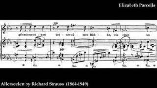 Elizabeth Parcells Allerseelen by Richard Strauss [upl. by Nivle571]