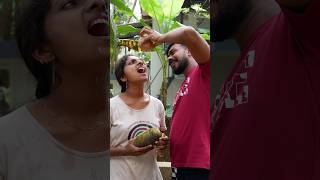 Crazy Husband amp Wife 😂shorts viralvideo trending couplegoals SVThalasserycouple [upl. by Auerbach893]