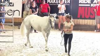 Mira Semelka auf dem Mustang Makeover 2018 [upl. by Kendrick]