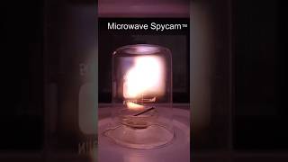 Making scary plasma in a microwave [upl. by Lamee315]