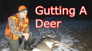 How To Gut A Deer  Field Dress A Deer [upl. by Paddy331]