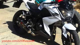 Akrapovic Carbon Exhaust SLIP ON For Kawasaki Z250 HD [upl. by Valenka196]