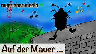 🎵 Auf der Mauer auf der Lauer sitzt ne kleine Wanze  Kinderlieder deutsch  muenchenmedia [upl. by Lenuahs379]