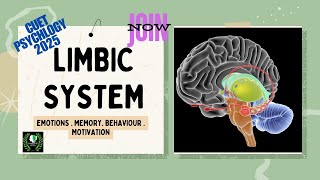 The Limbic System  Motivation Emotions Memories and Behaviour  CUET PG Psychology Concepts [upl. by Adair294]