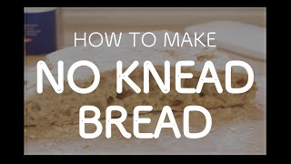 How to Make No Knead Bread Recipe [upl. by Anstice]