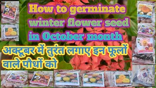 How to germinate winter flower seed in October month seed germinationnaturalenvironment331 [upl. by Ijar]