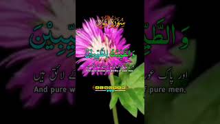 Islamic Video  Writing Islamic Post  Writing Quran Pak  Quran Majeed Urdu Translation Video [upl. by Assenad]