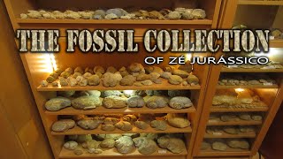 The Fossil Collection of Zé Jurássico [upl. by Goer]