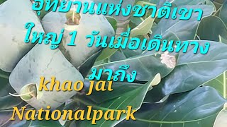 Khao Yai Nationalpark 1 Tag mit Anreise อุทยานแห่งชาติเขาใหญ่ 1 วันเมื่อเดินทางมาถึง [upl. by Ardell]