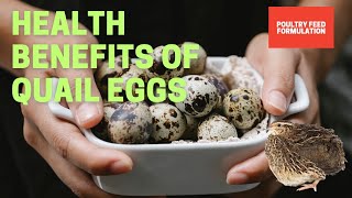 AMAZING HEALTH BENEFITS OF QUAIL EGGS [upl. by Georgetta]