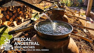 Así se elabora el Mezcal Ancestral 3000 Noches en Villa Sola de Vega Oaxaca [upl. by Rora743]